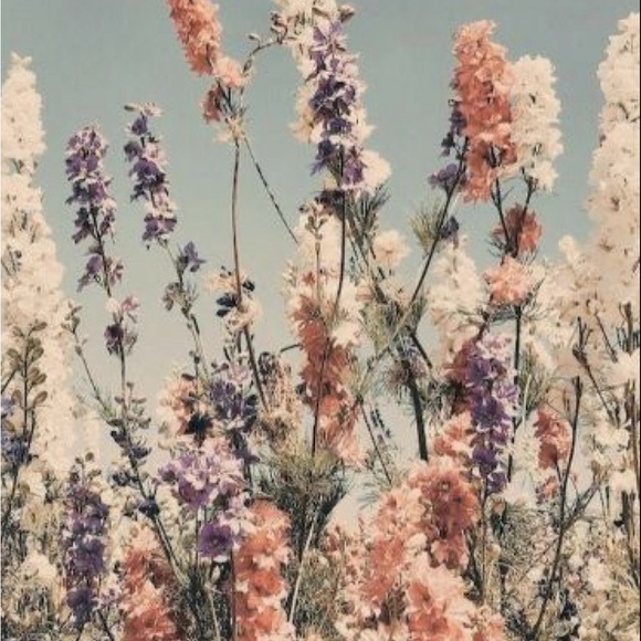 Meet your Posher, Aubrey Nicole - Picture 1 of 1